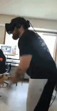 Regard canin qui en dit long sur l'opinion qu'il a du gus