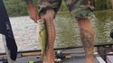 Tatouage utile pour pêcheur
