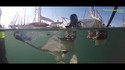 Seabin project 