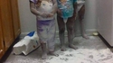 3 mini Jackson