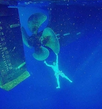 Attention à l'hélice hélas !