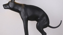 Lampe-chien avec son variateur de lumière