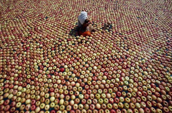 Une personne se trouve au milieu d'une grande quantité de pomme.