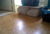 Comment ranger son chat