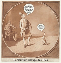 Non au gavage des oies !