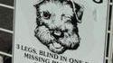 Chien perdu