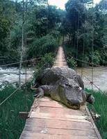 "You shall not pass !"