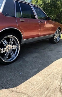 Avec des dollars, tout roule !