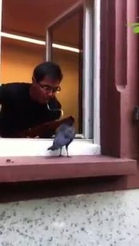 Duo pour corbeau et basson