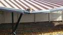 Le chat le plus lourd au monde ?