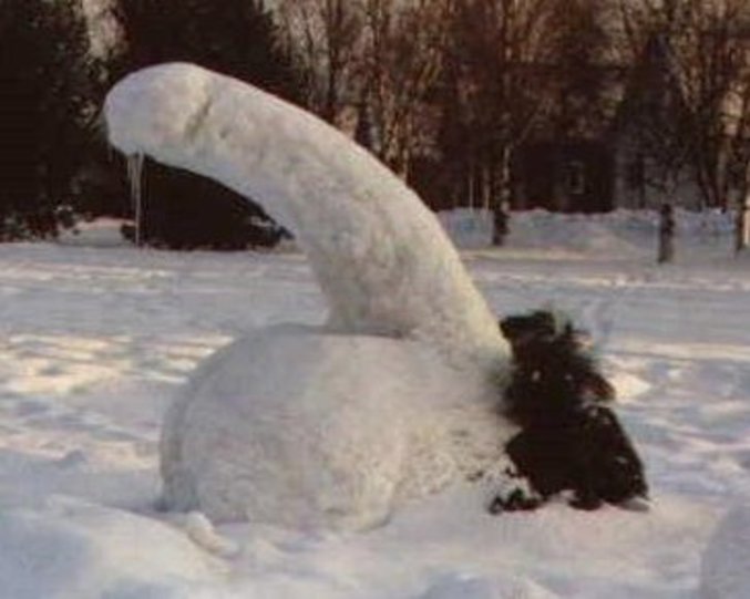 Un sexe de neige