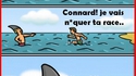 Prenez garde si vous allez à la plage