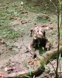 Alors, c'est simple : le plus court...