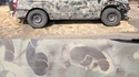 Pénis de camouflage