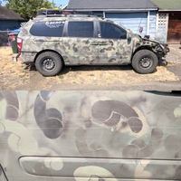 Pénis de camouflage