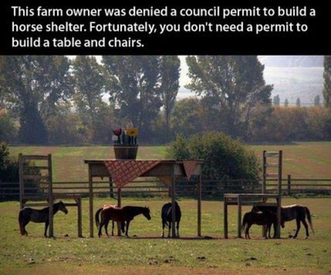 Ce fermier s'est vu refuser un permis de construire pour un abri de chevaux. Heureusement, aucun permis n'est nécessaire pour une table et des chaises.