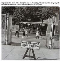 Années 60, ségrégation au zoo de Memphis