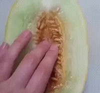 Un melon d'eau