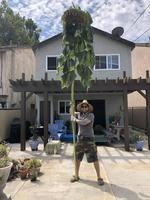 Tournesol 2.0