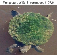 Première image de la Terre depuis l'Espace (1972)