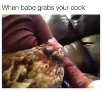 Look at my cock