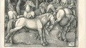 Scène banale avec des chevaux