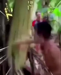 Ton frère tu te souviens?