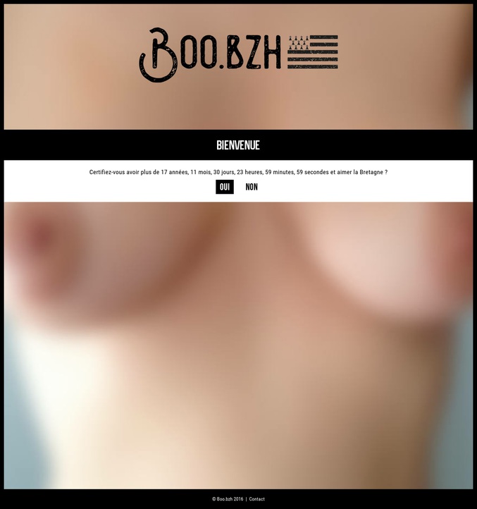Site se voulant humoristique, authentique...etc..de boobs bretons(ou bretonisés). Attention, quelques pièges s'y sont glissés..
pour plus d'info:http://www.letelegramme.fr/bretagne/boo-bzh-les-seins-bretons-pointent-sur-le-net-02-08-2016-11168973.php#closePopUp
