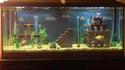 Aquarium de geek