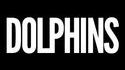 L'attaque des dauphins