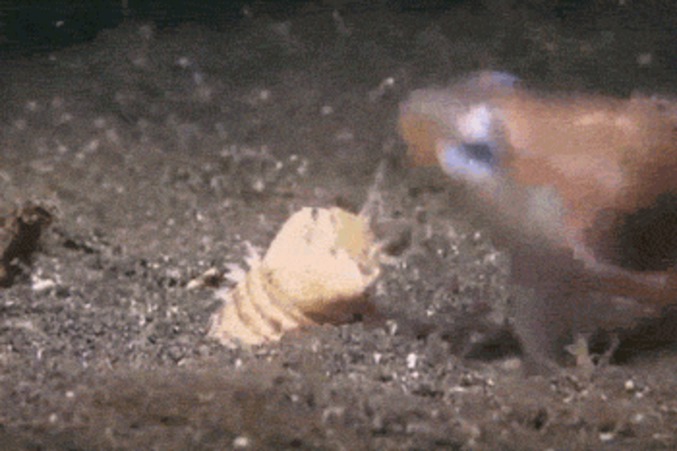 Damned nature, you're scary