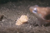 Damned nature, you're scary