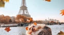 Paris !