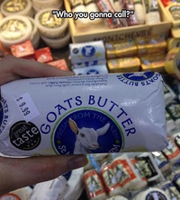 Who you gonna call ?