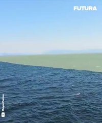 Même la nature a des bugs dans son graphisme