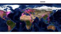 Routes migratoires animales
