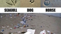 Empreintes à la plage