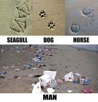 Empreintes à la plage