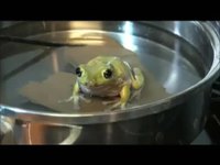 Test de la grenouille dans l'eau chaude