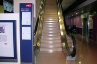 Escalator pour sportifs