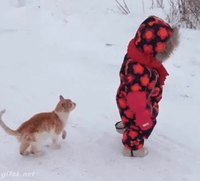 Chat = 1 -- Bébé = 0 