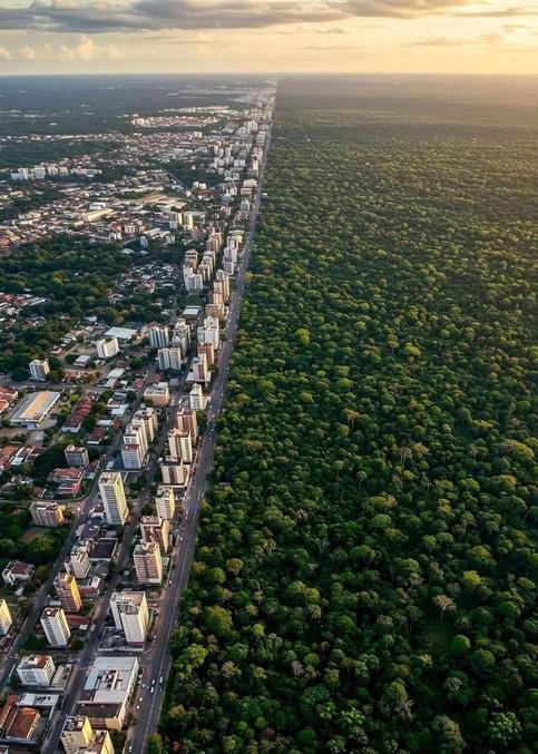 Manaus est une ville située au cœur du Brésil, dans l'État d'Amazonas, et est souvent considérée comme la porte d'entrée de l'Amazonie. Elle se trouve à la rencontre de deux grands fleuves, le Rio Negro et le Rio Solimões, qui forment ensemble l'Amazone. Cette situation géographique unique donne à la ville un rôle central dans la région amazonienne.

Manaus a une histoire fascinante, liée à l'essor de l'industrie du caoutchouc au XIXe siècle. C'est grâce à cette industrie que la ville a connu une grande prospérité, ce qui se reflète encore aujourd'hui dans ses bâtiments coloniaux, notamment le célèbre Opéra de Manaus, un vestige de cette époque de richesse.

L'un des aspects les plus fascinants de Manaus est sa position à la frontière de l'Amazonie, ce qui en fait un point de départ idéal pour explorer la forêt tropicale. La ville est souvent la première escale pour les voyageurs qui se rendent dans la région pour découvrir la biodiversité unique de l'Amazonie, ses tribus indigènes et sa flore impressionnante.

Une autre anecdote intéressante est que, bien que la ville soit isolée, elle possède des infrastructures étonnamment modernes, grâce à son statut de zone franche. Cela a permis le développement de l'industrie électronique et d'autres secteurs économiques.

En raison de son emplacement, Manaus connaît également un climat équatorial humide, avec des températures élevées et une forte humidité tout au long de l'année, ce qui contribue à l'atmosphère dense et humide de la région.