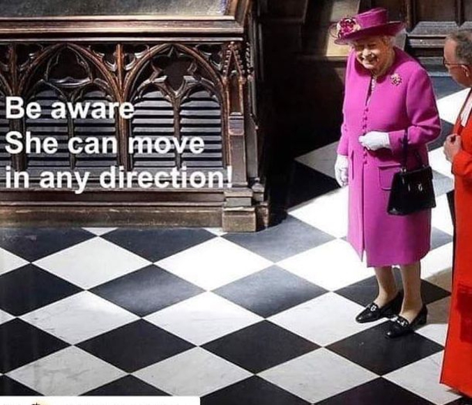 Attention ! La Reine peut jouer dans toutes les directions !