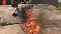 Skate and Fire