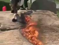 Skate and Fire