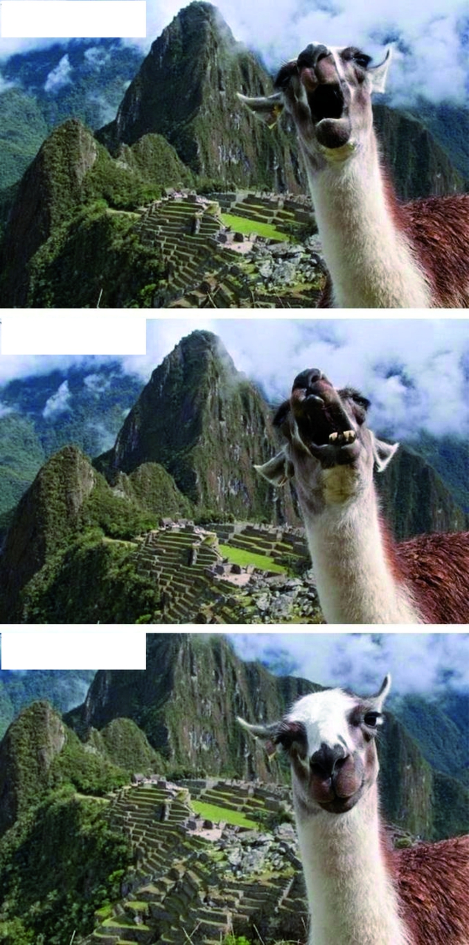 "Et alors après, on est allé au Machu Picchu. C'était super beau, on a fait trois photos"