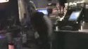 Barman show