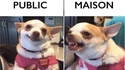 Ta chérie en public...
