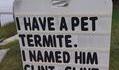 J'ai apprivoisé une termite, que j'ai appellé Clint