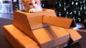 Catank
